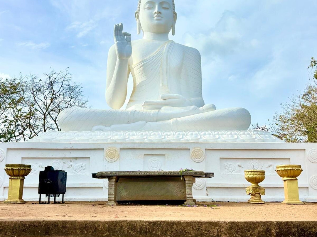 Relax Lanka Tours-尼甘布必去景点