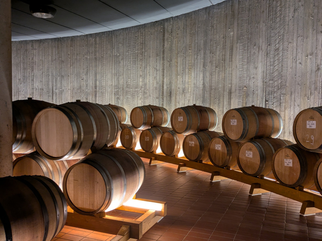 Castello Monte Vibiano Vecchio-Mercatello必去景点