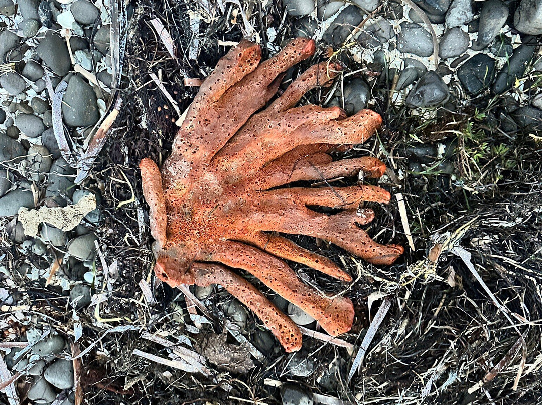 西湾海滨度假酒店主图