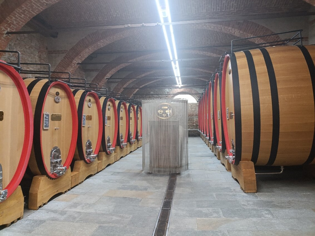 Antiche Cantine Marchesi Di Barolo-巴罗洛必去景点