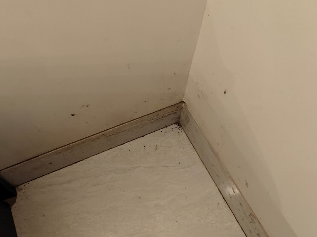 Urja Resort Casajuliana主图