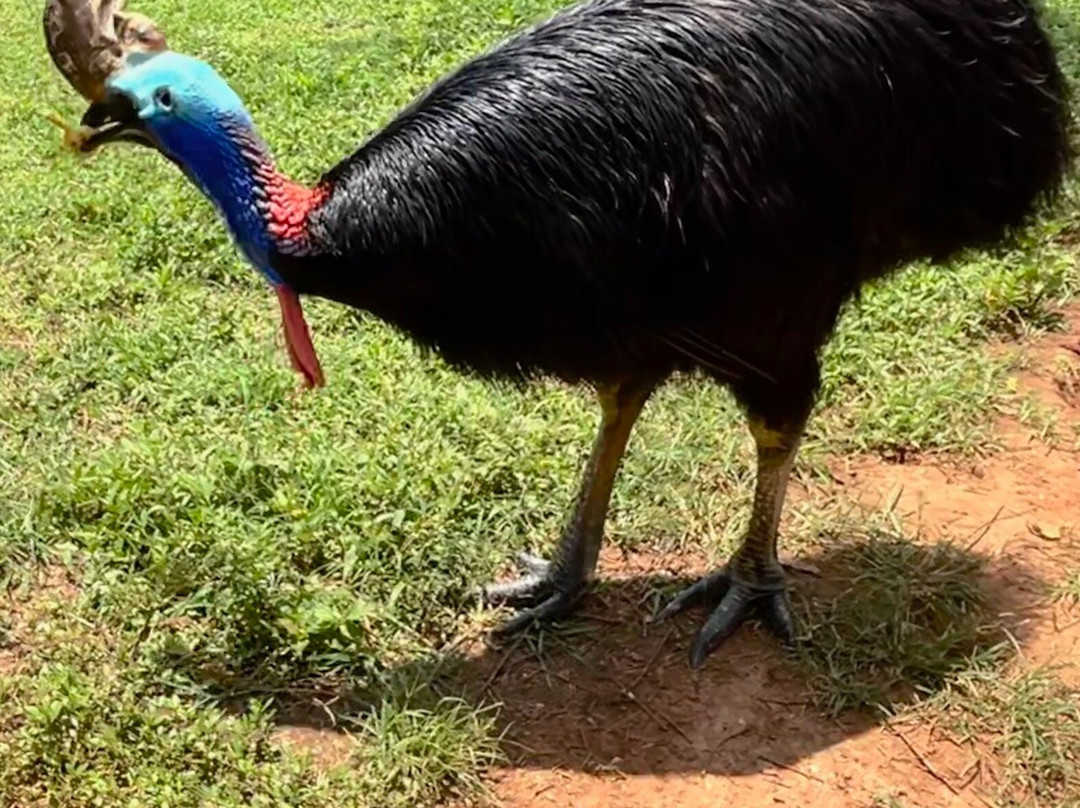 Birds Research Center & Resort-Hambantota必去景点