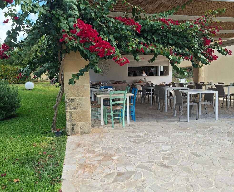 Olive Garden House主图