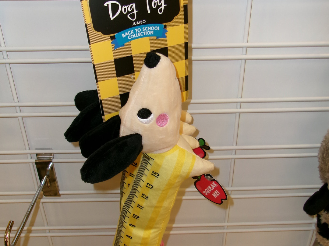 Kohl's-Newington必去景点