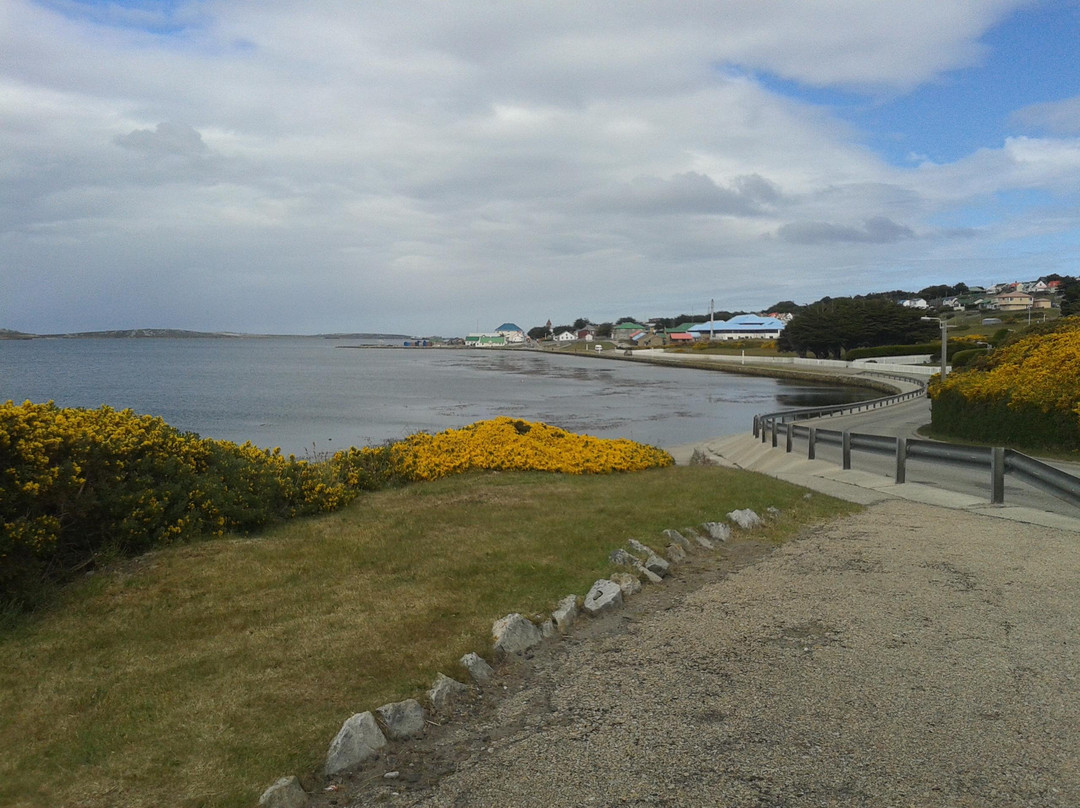 Sea Lion Island旅游攻略图片