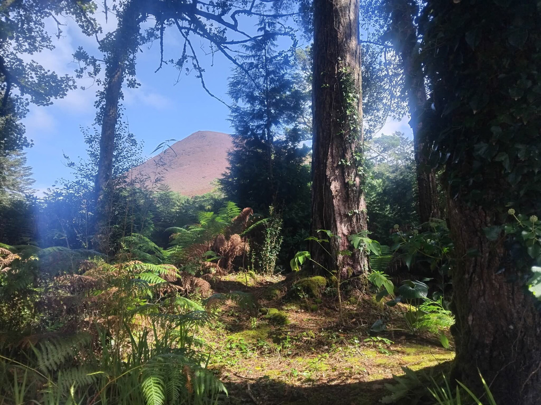 Kells Bay House & Gardens-Cahersiveen必去景点