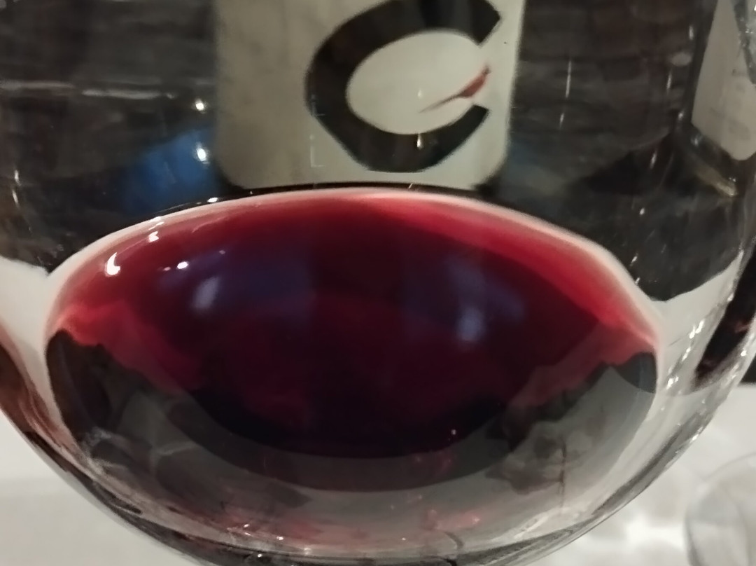 Vinicola Parvada-Parras de la Fuente必去景点