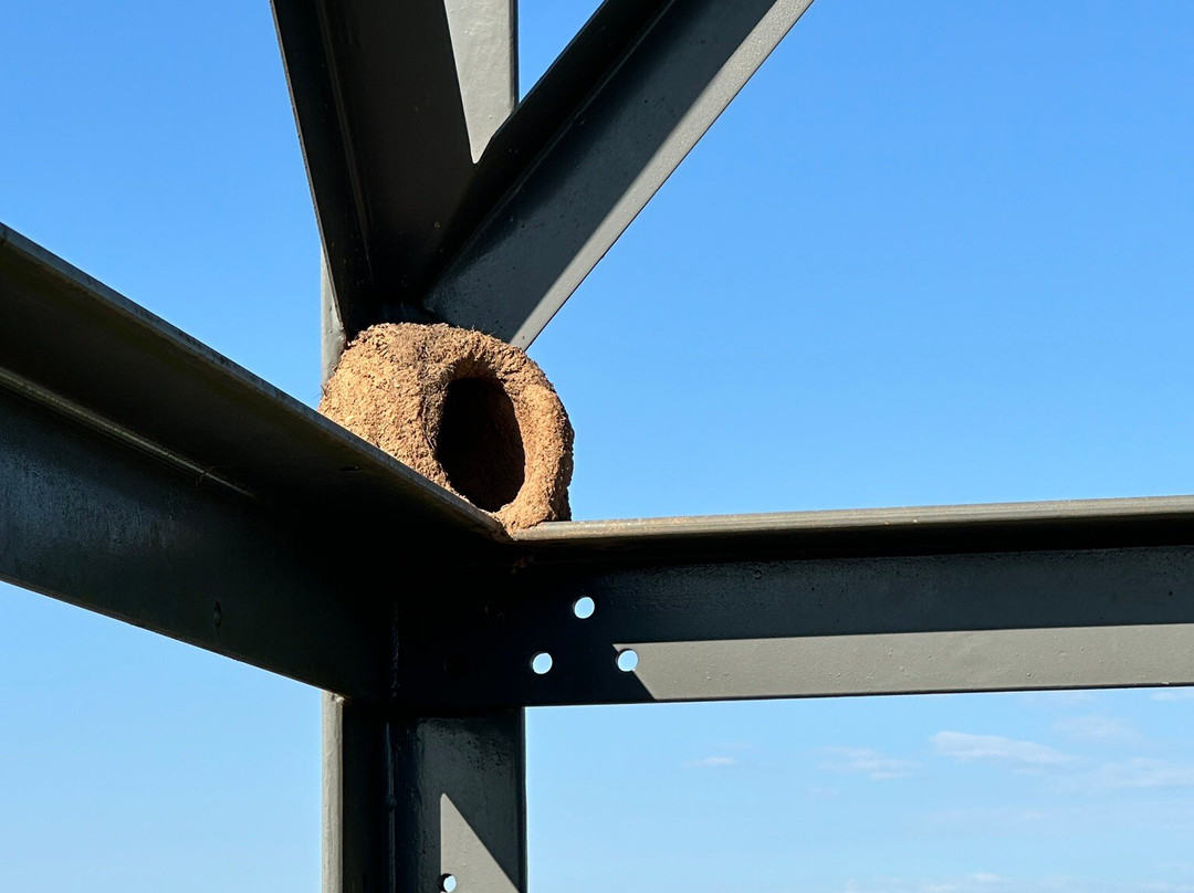 Paradouro Do Suco-Flores Da Cunha必去景点