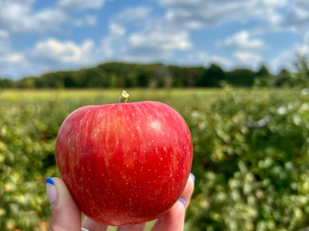 Lookout Farm-内蒂克必去景点
