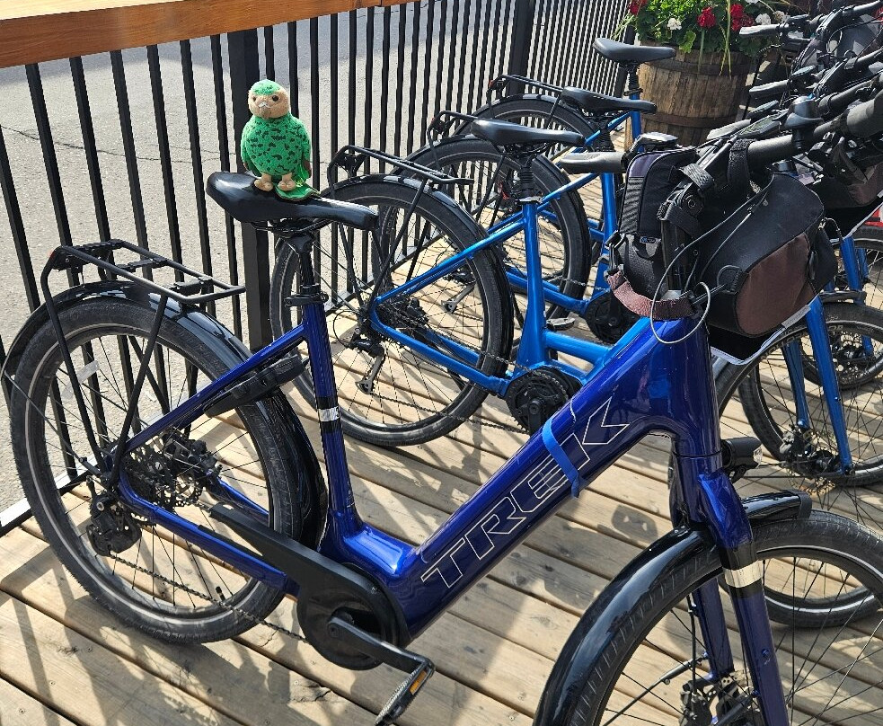 Banff Cycle + Sport-班夫必去景点