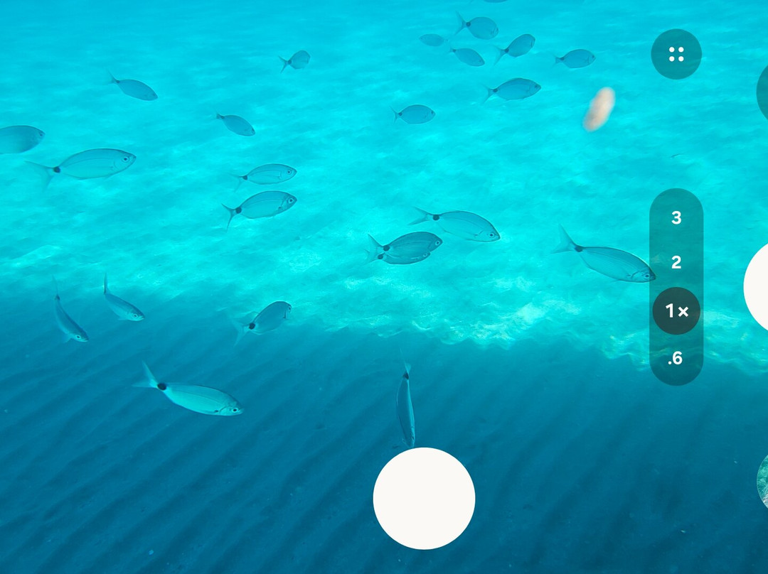 Barca Corto Maltese-Marzamemi必去景点