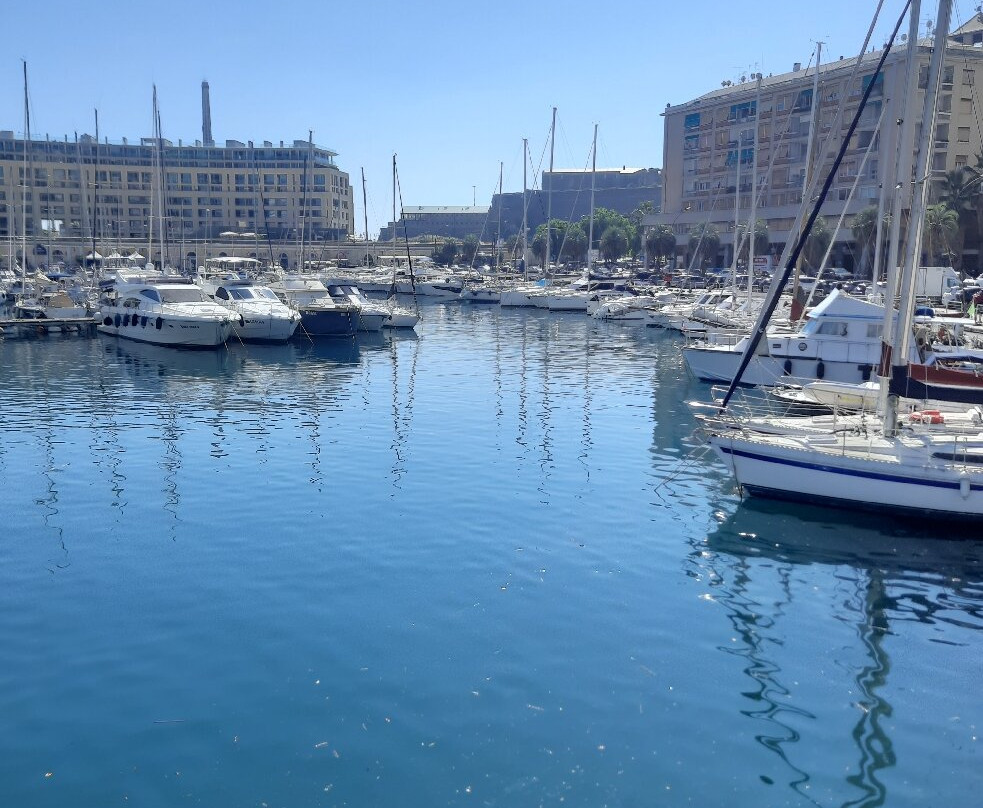 Torre Leon Pancaldo-萨沃纳必去景点
