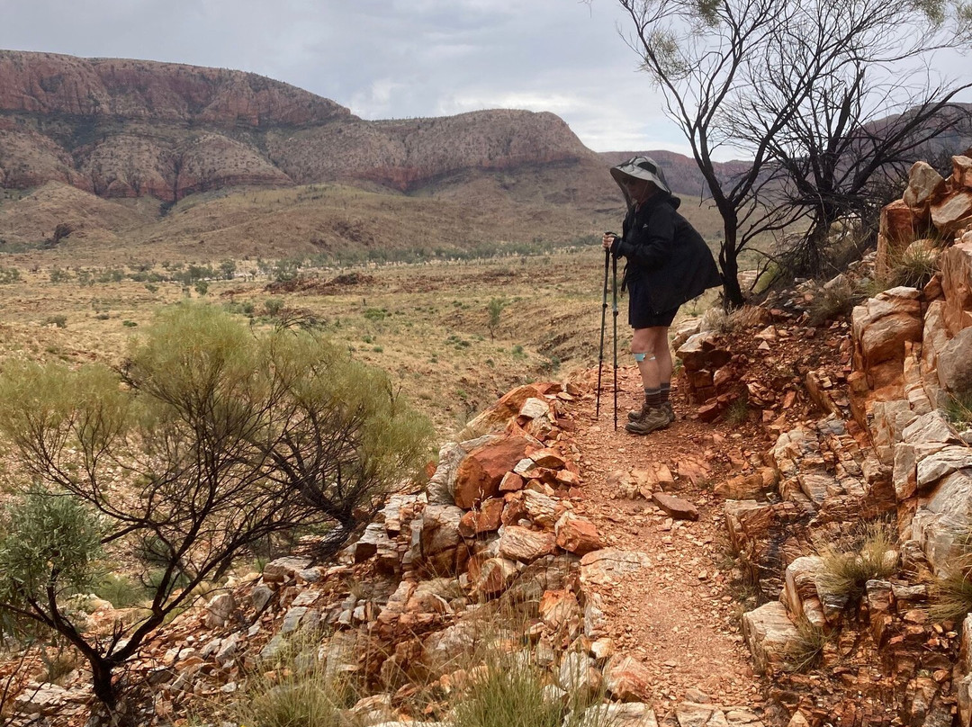 The Larapinta Trail-爱丽斯泉必去景点