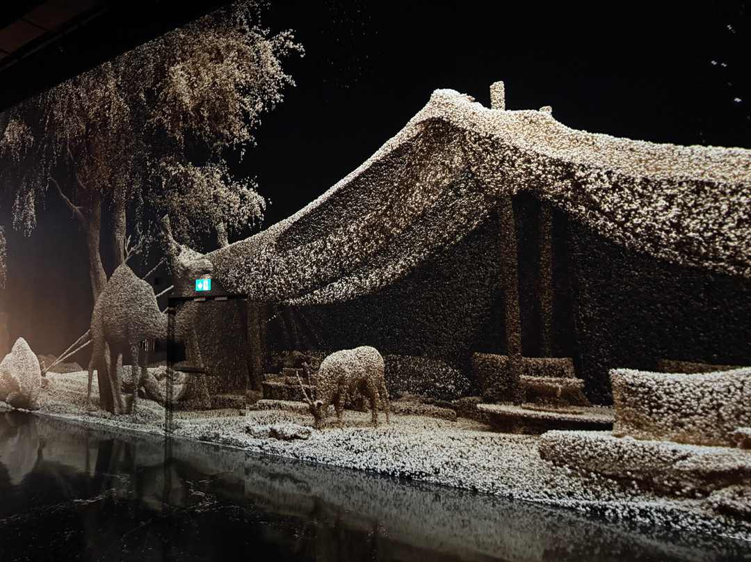 ARTE MUSEUM DUBAI-迪拜必去景点