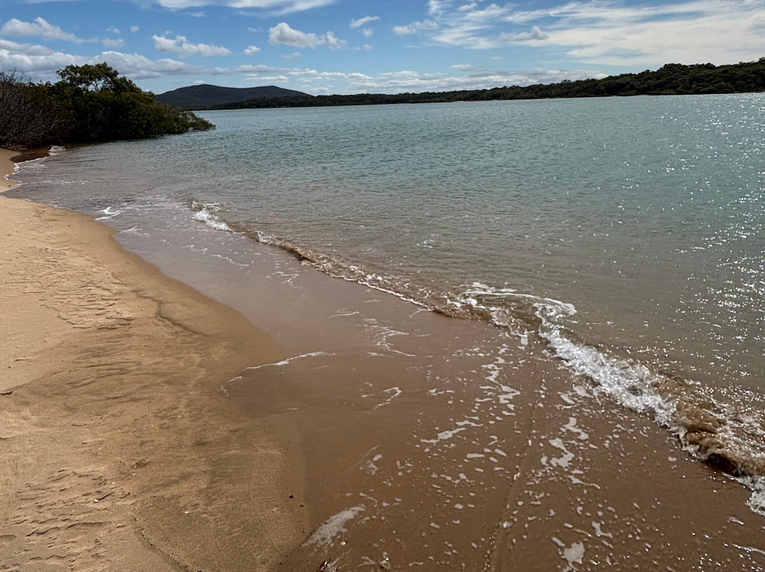 Moondoggie Beach & Bush Tours-Agnes Water必去景点