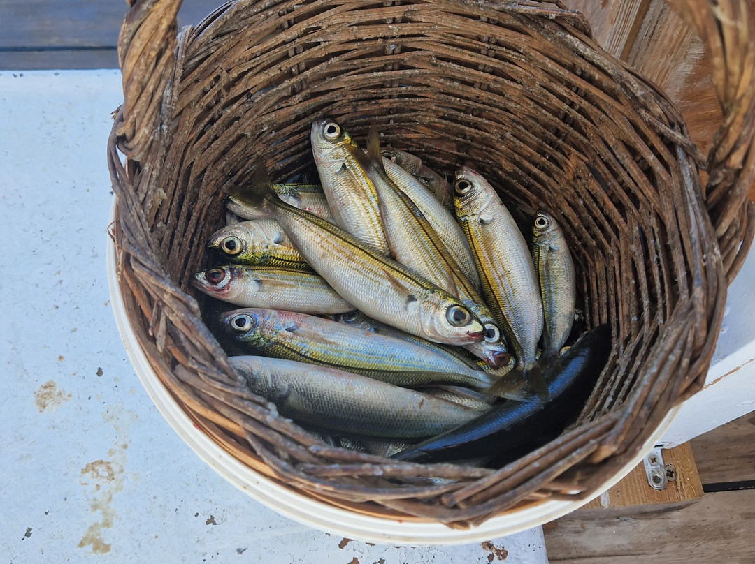 Eva Traditional Fishing Trips-Elounda必去景点