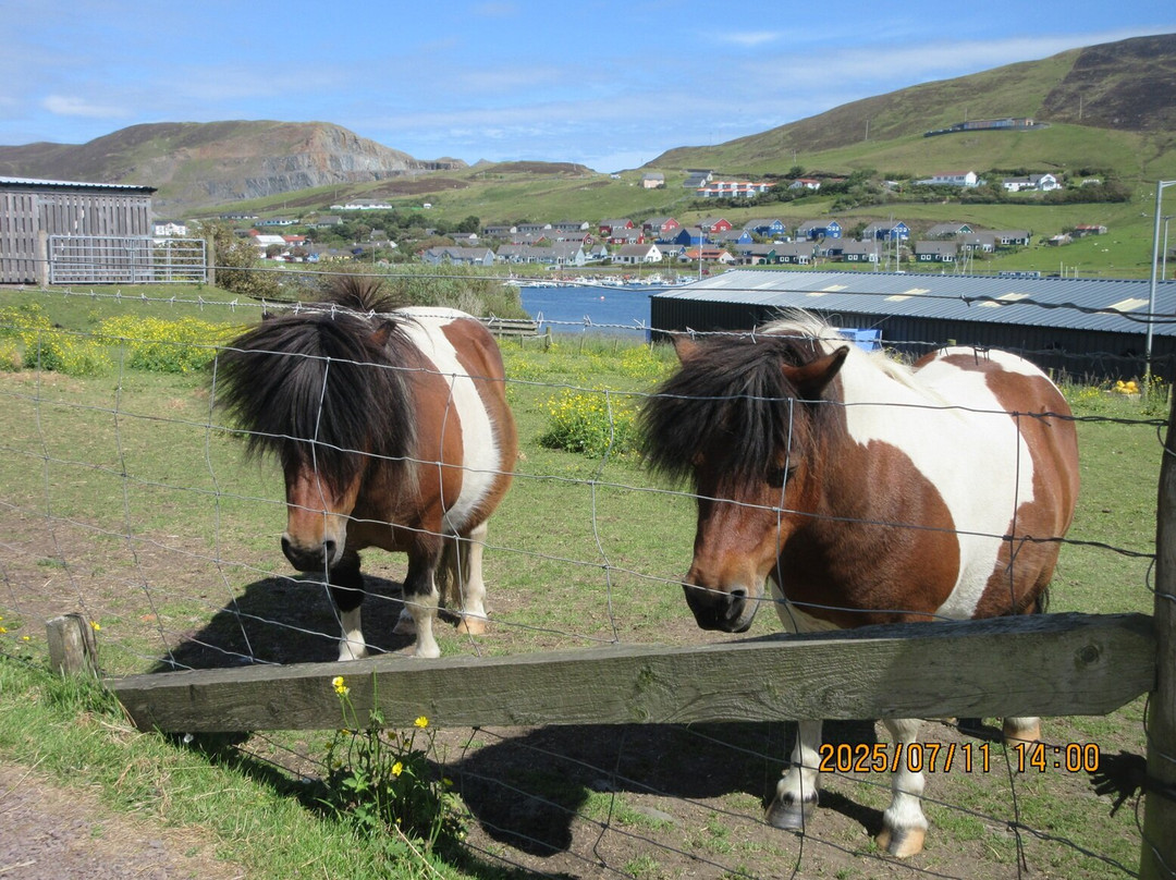 Scalloway Museum-Scalloway必去景点