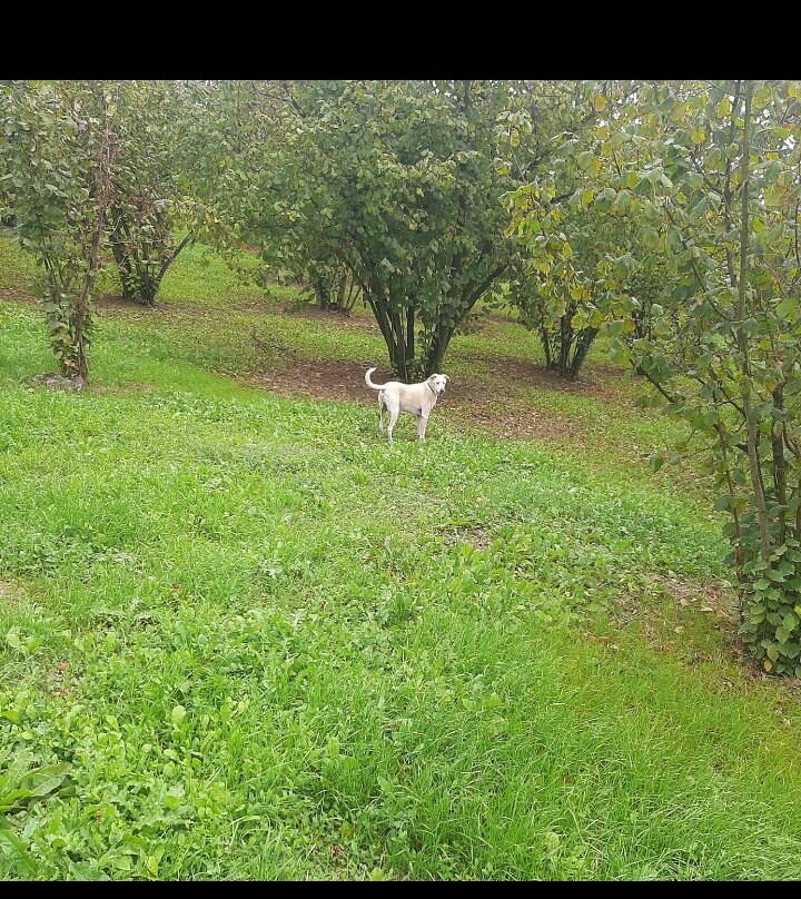 Hotel Relais Montemarino主图