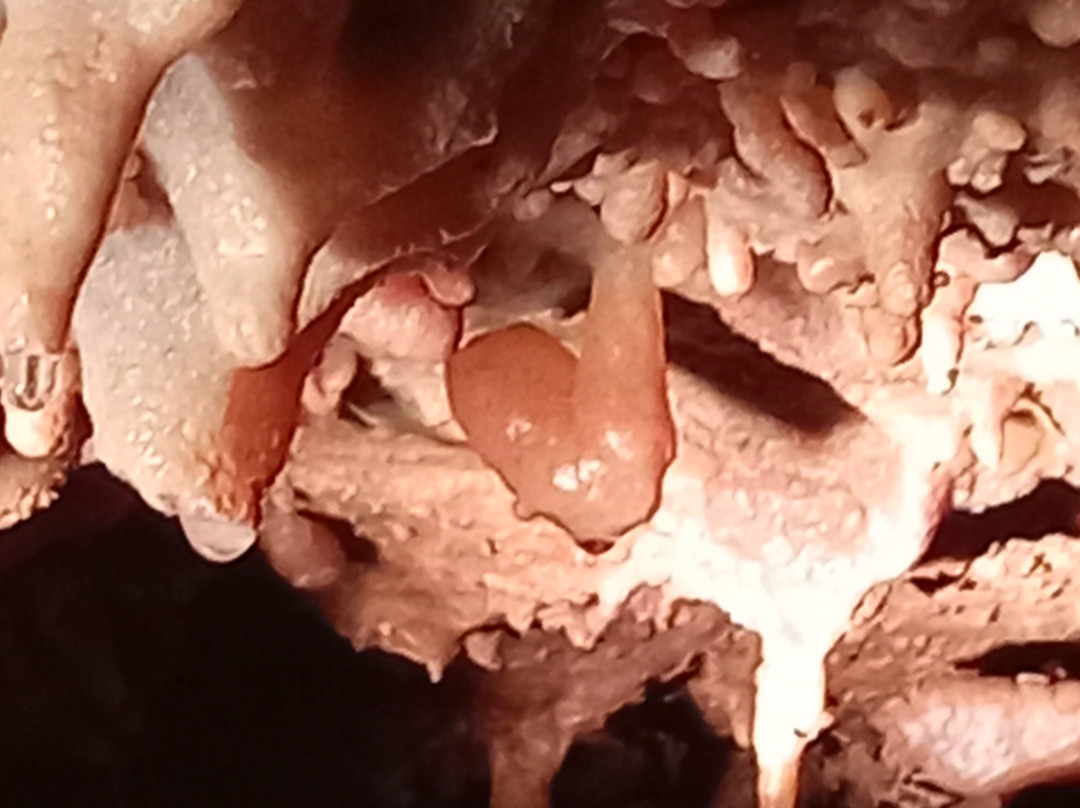 Grotta dei Dossi-Villanova Mondovi必去景点