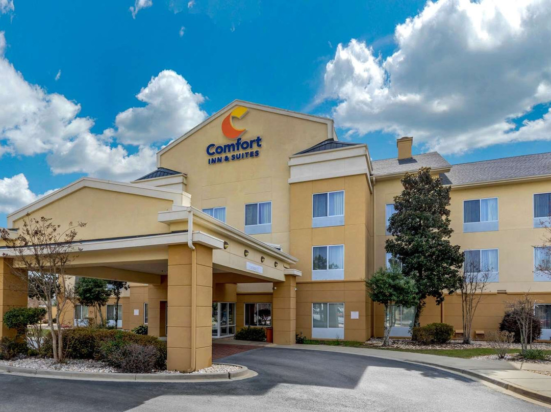 Bishopville酒店住宿-Comfort Inn & Suites Camden
