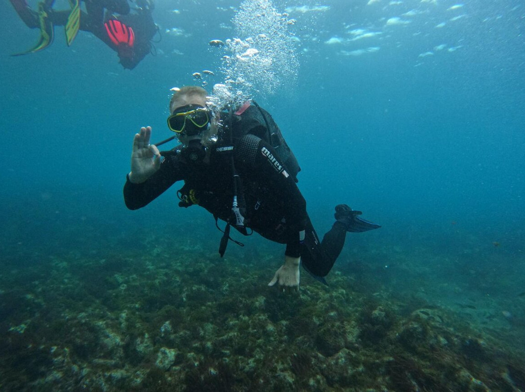 Deep Fin-拉斯加勒塔斯必去景点