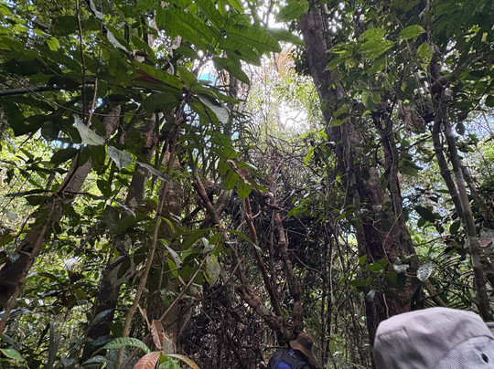 Off Roads Travel-玛瑙斯必去景点