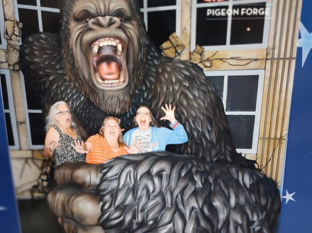 Hollywood Wax Museum-皮金福奇必去景点