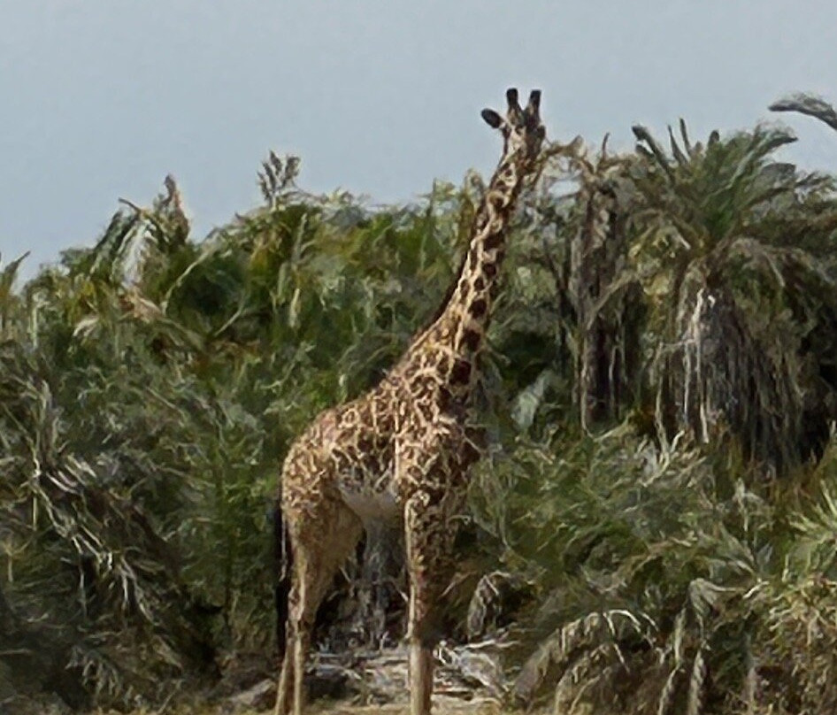 Hyrax Safaris-Ololaimutiek必去景点