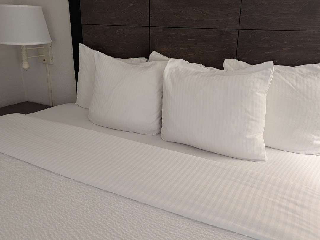 La Quinta Inn & Suites by Wyndham Ft. Lauderdale Plantation主图