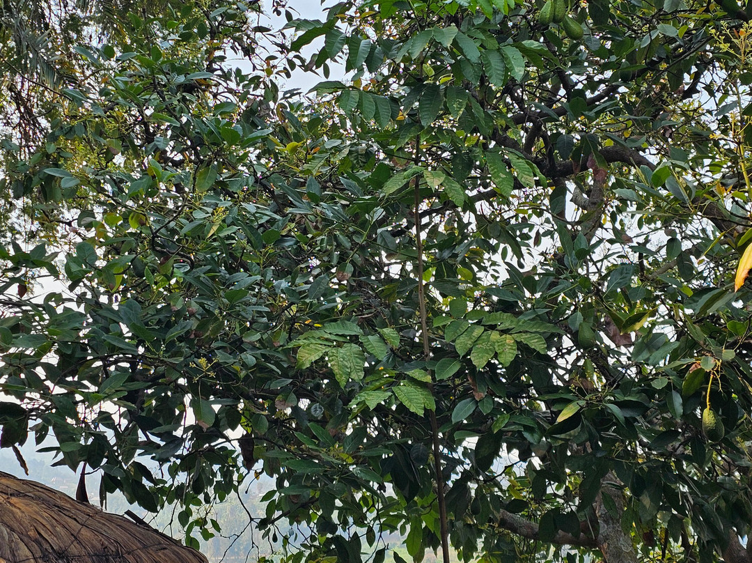 Hotel Paradis Malahide主图