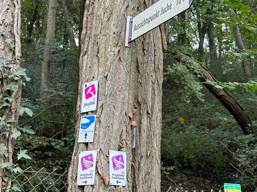 Aussichtspunkt Juché-Meisenheim必去景点