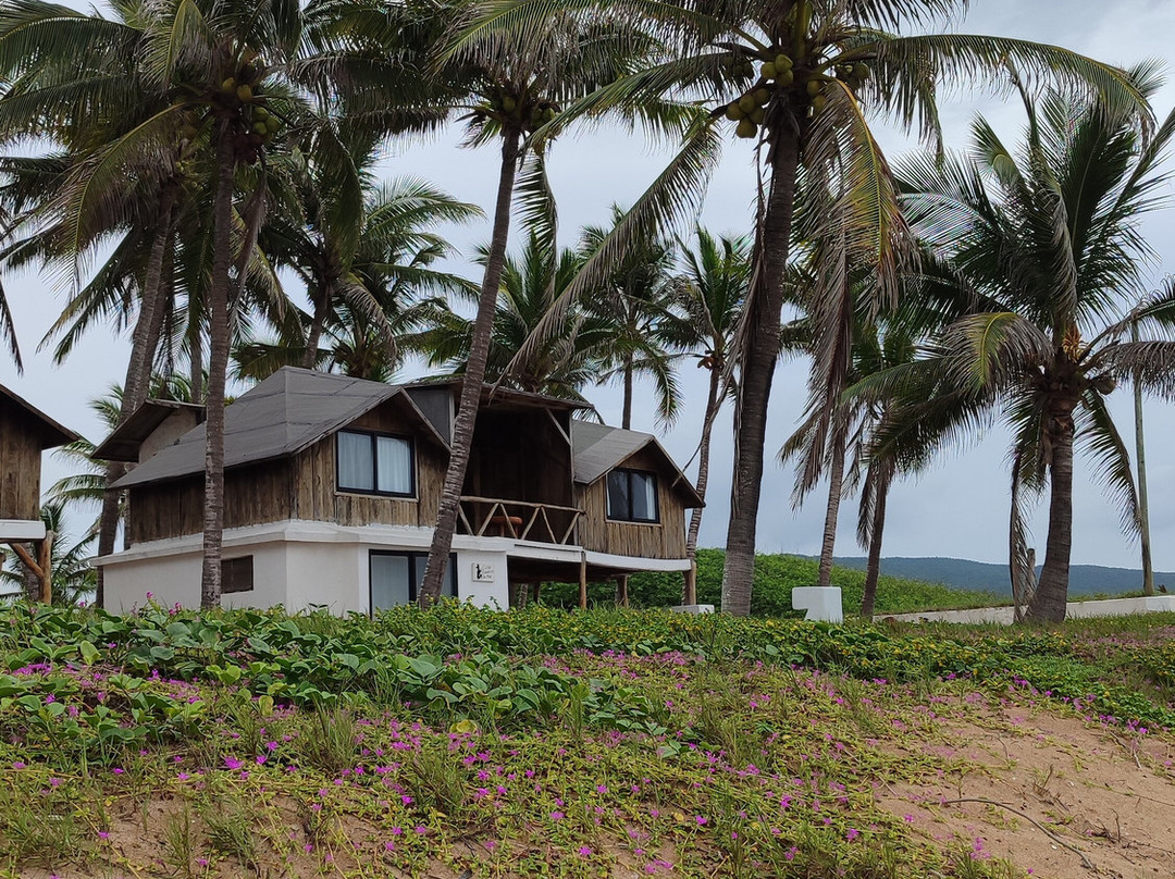 Hotel Villa Polinesia Chamela主图