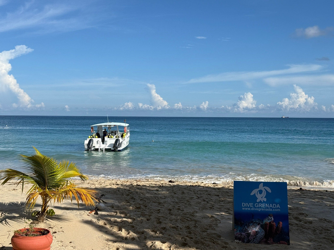 Dive Grenada-Grand Anse必去景点
