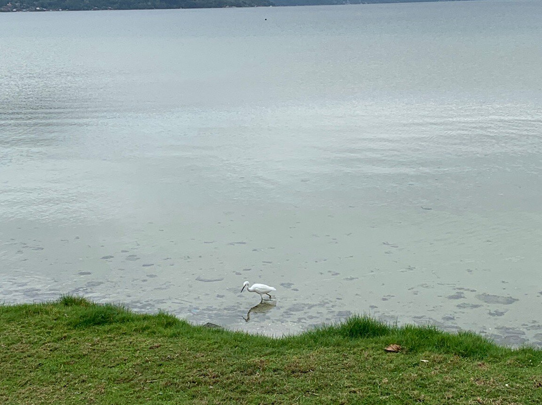 Lagoa da Conceicao-弗洛里亚诺波利斯必去景点