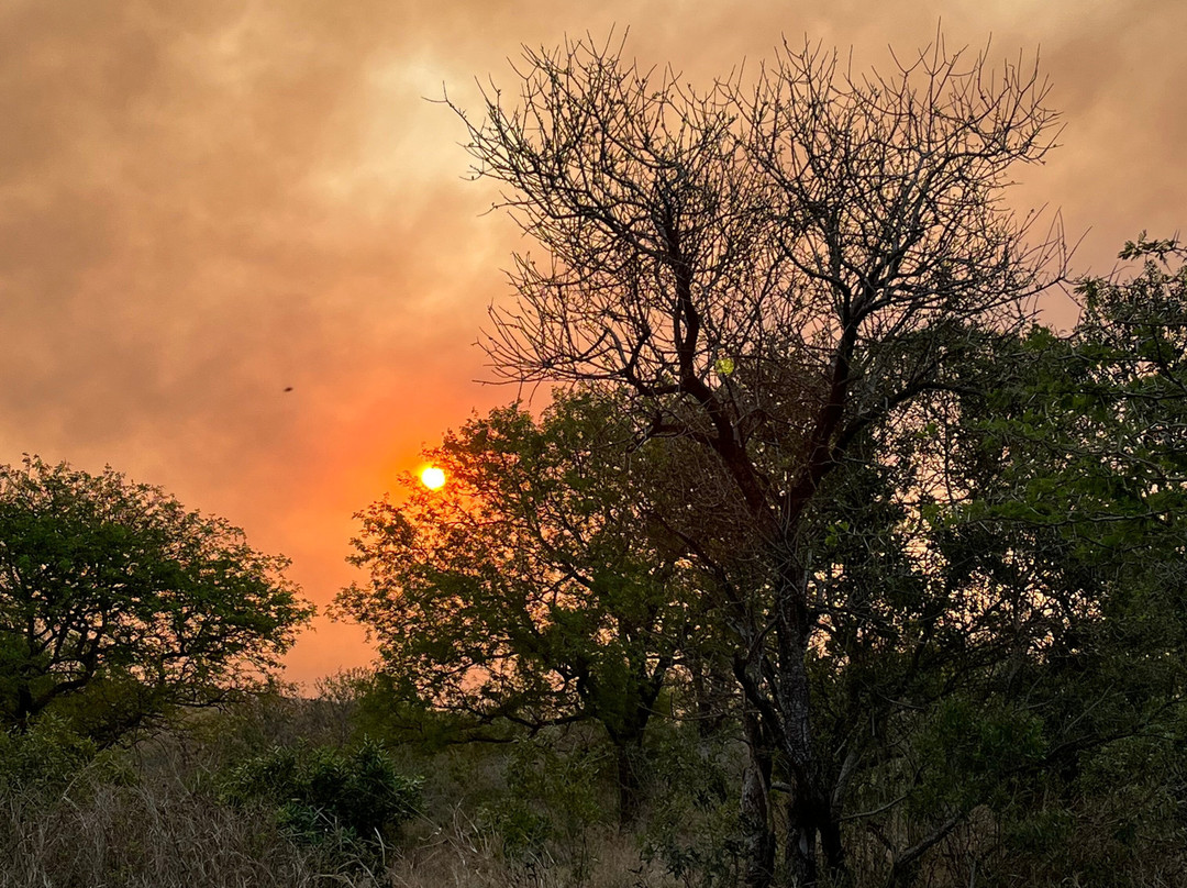 Bayete Zulu Boutique Lodge主图