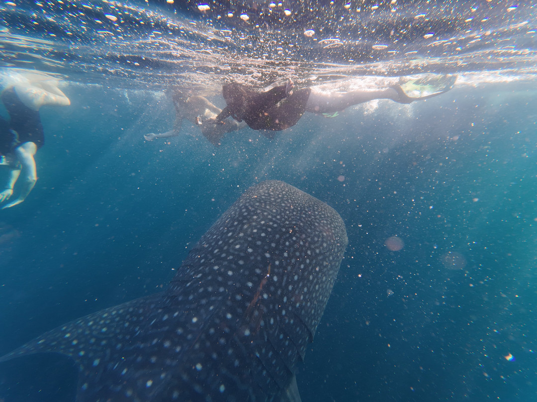 The Langkah Travel-Sumbawa Besar必去景点
