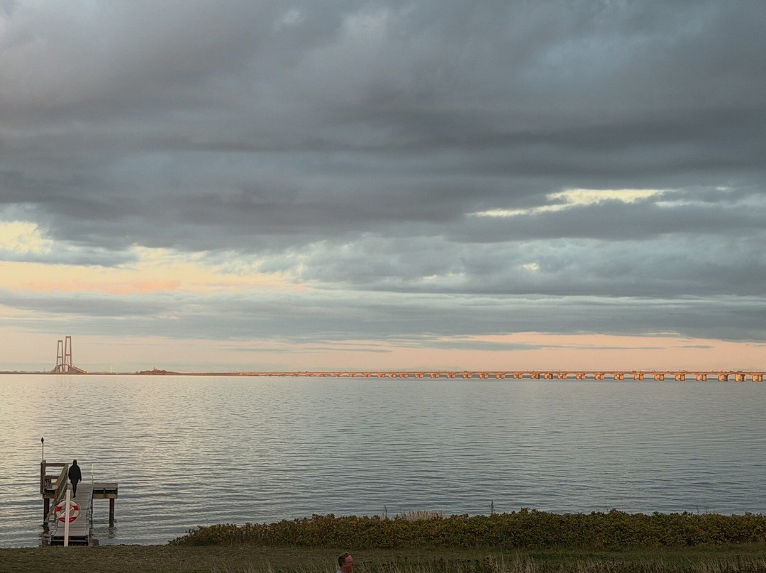 Nyborg Strand Hotel & Konference主图