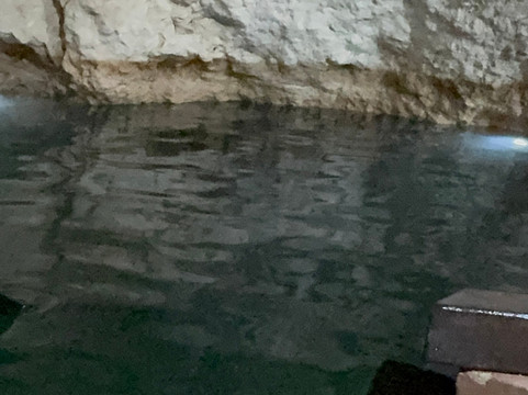 Amigo Tours-瓜达拉哈拉必去景点