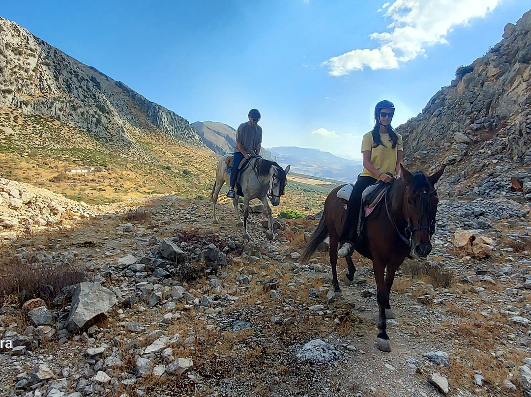 Horse Riding El Chorro-El Chorro必去景点