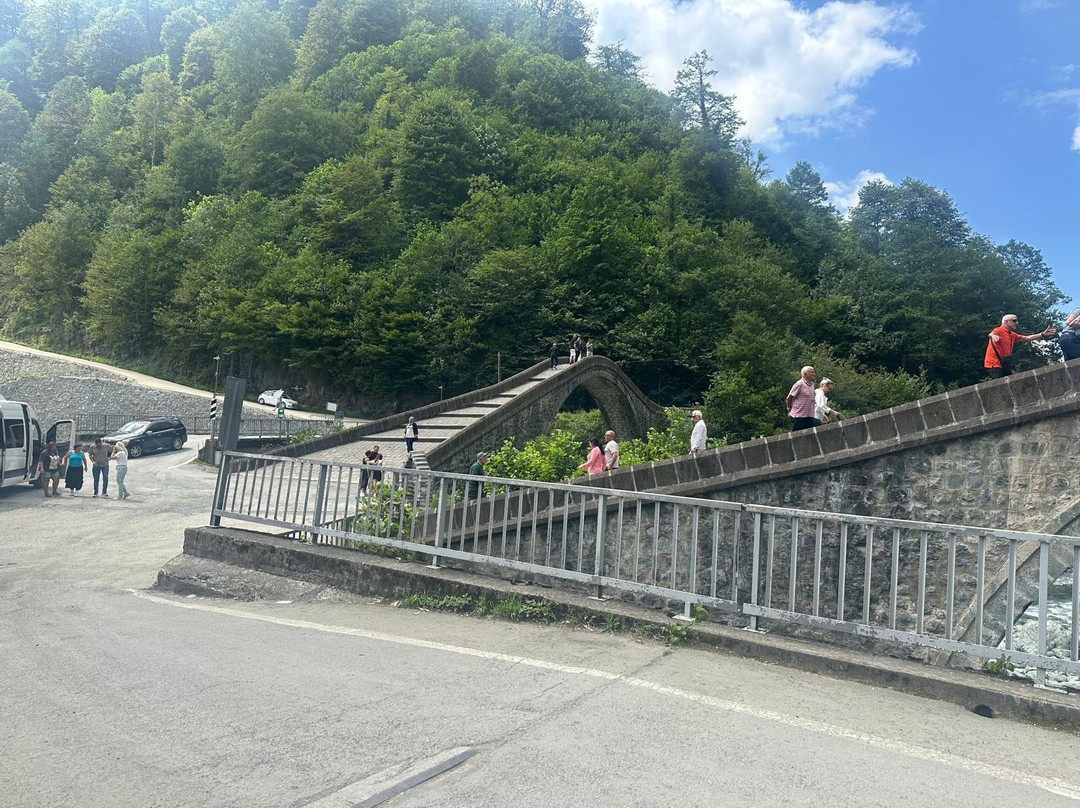 Twin Bridge-Artvin必去景点