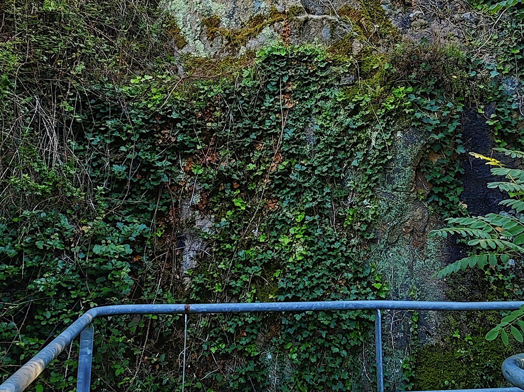 Passerelle Saint Jacques ou de la Minoterie-Chatillon-sur-Thouet必去景点