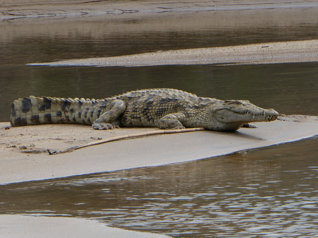 Manja Tours Madagascar-安塔那那利佛必去景点