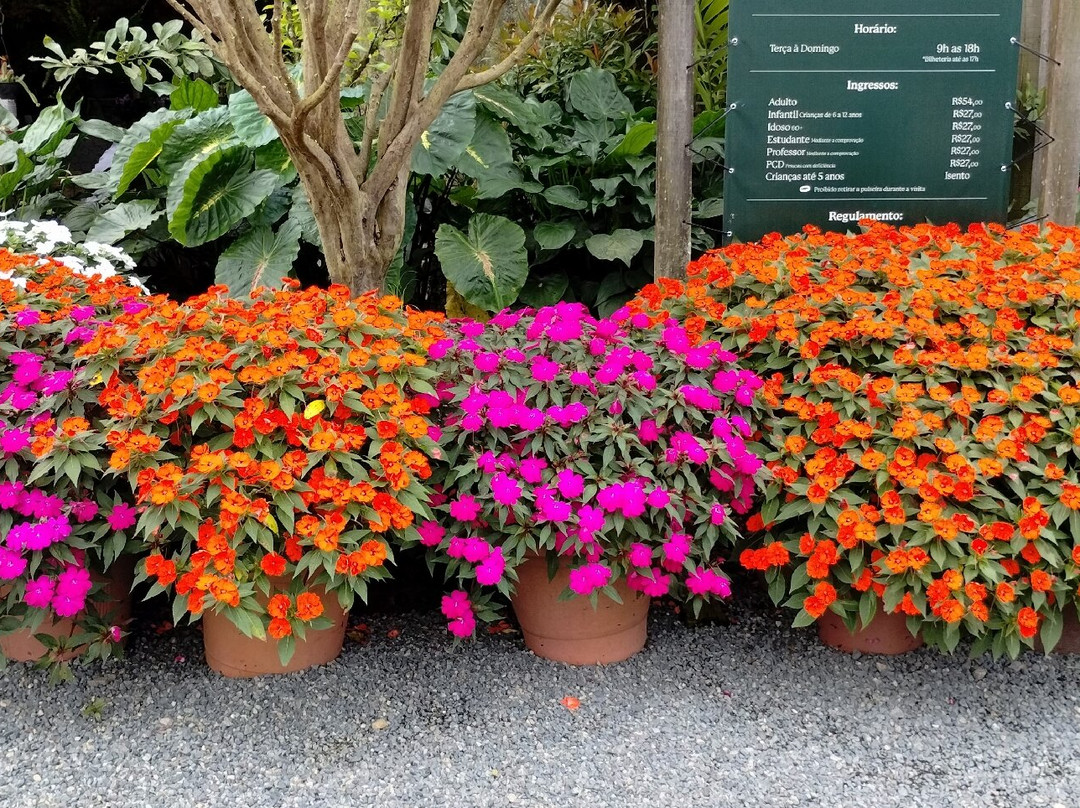 Hemero - Jardins Como Arte-Joinville必去景点