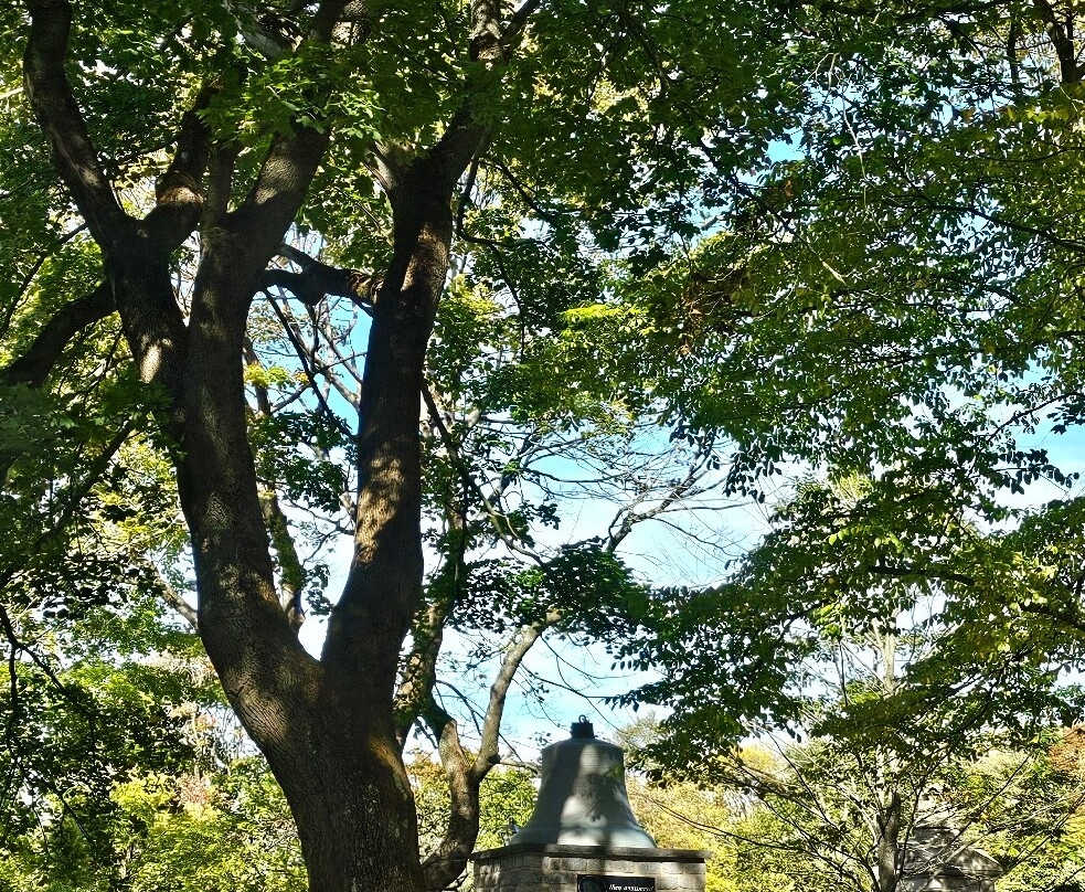 VGO Tour-圣约翰必去景点