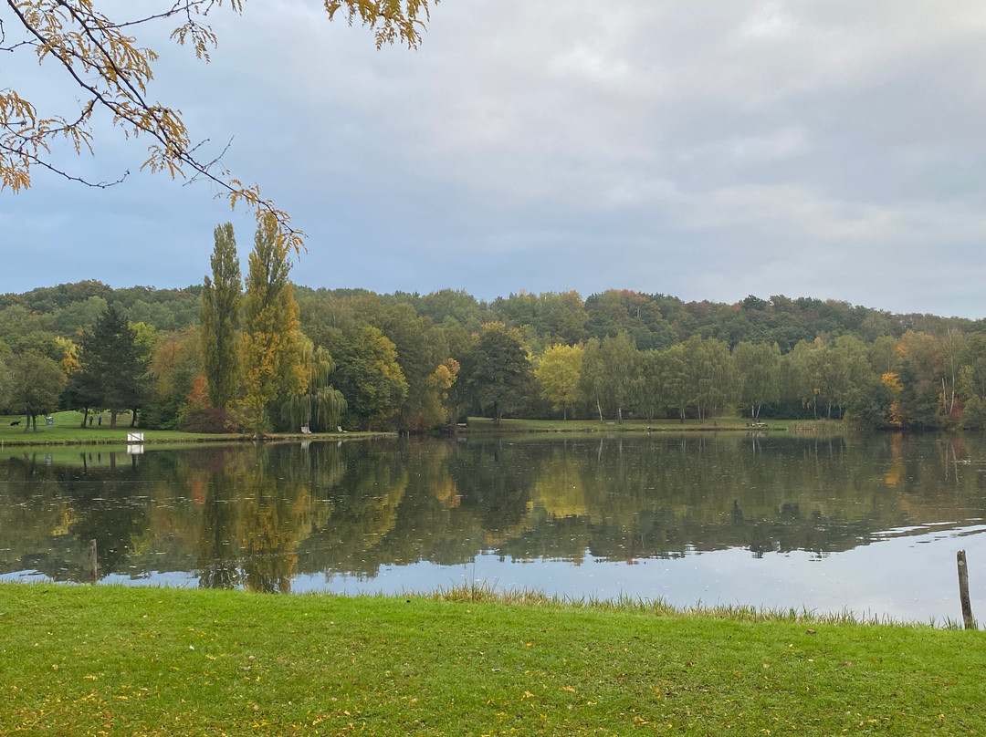 Hotel Am Steinertsee - Kassel-ost主图