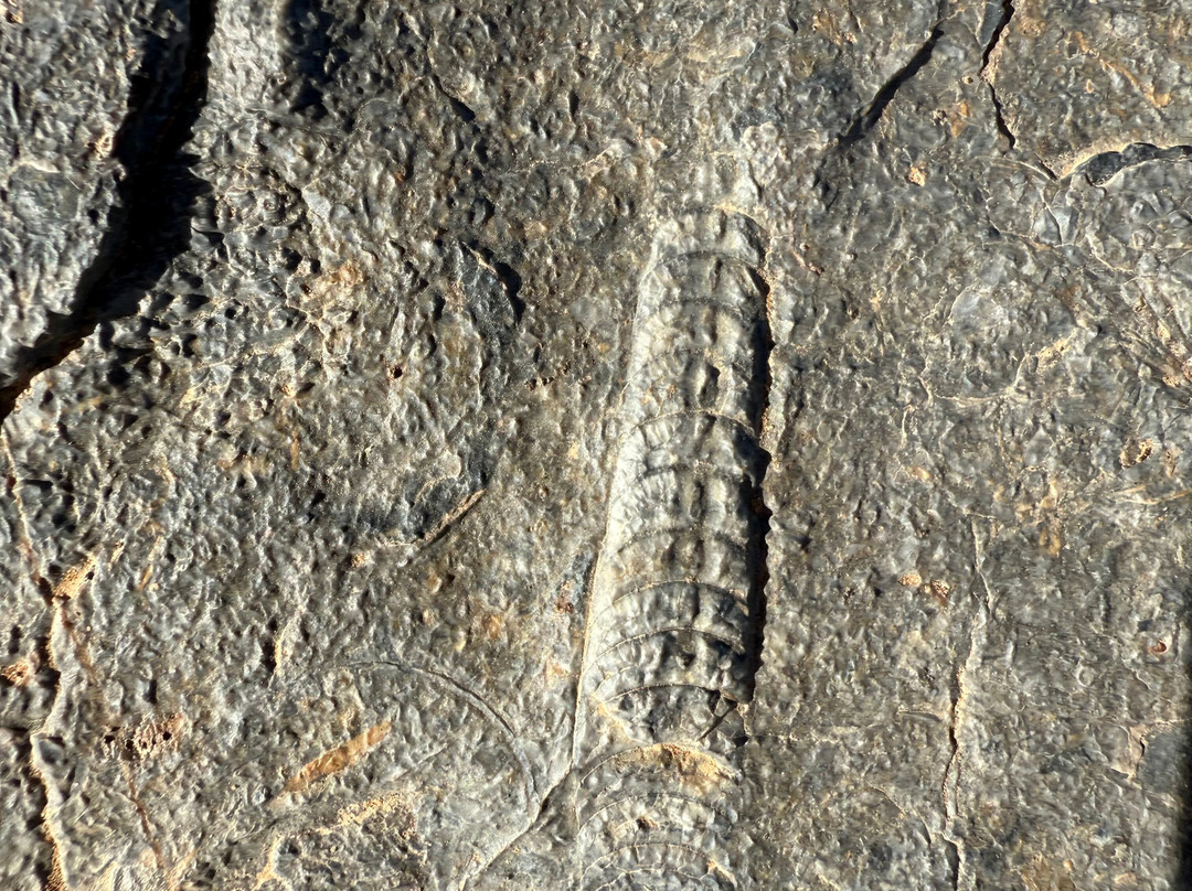 Your Morocco Tour-马拉喀什必去景点