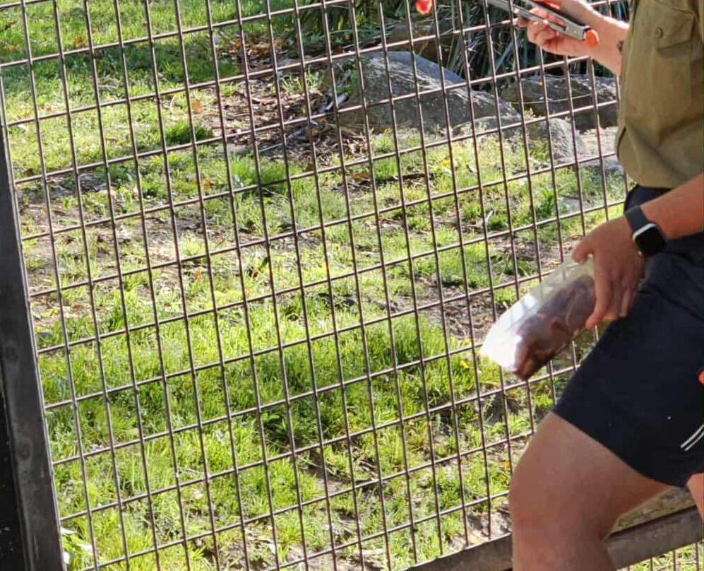 国家动物园及水族馆-堪培拉必去景点