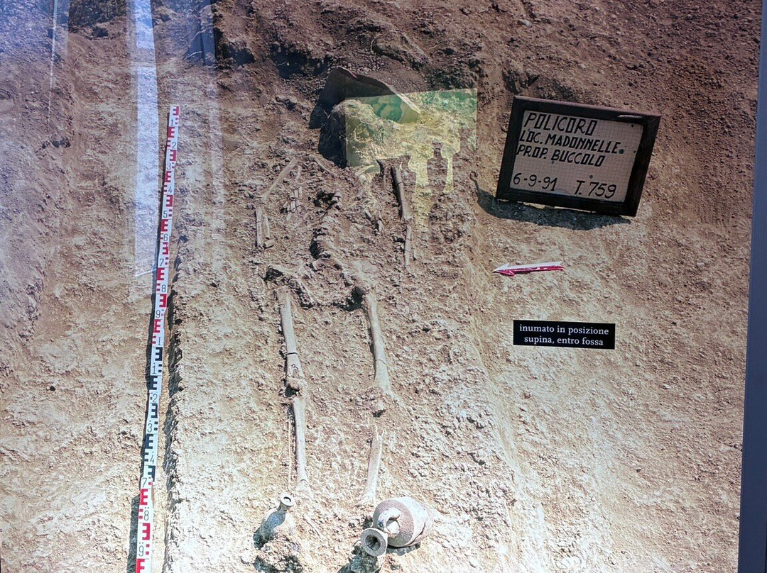 Museo Archeologico Nazionale della Siritide-波利科罗必去景点