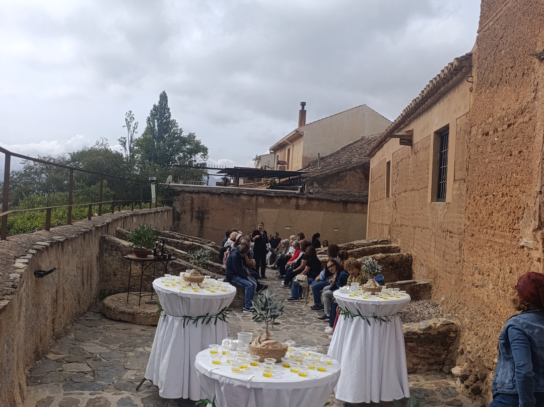Almazara La Erilla, OleoTurismo en Granada-Niguelas必去景点