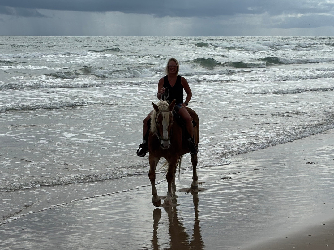 South Padre Island Adventure Park-南帕诸岛必去景点